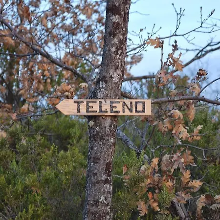 La Casa De Rosa Venkovský dům Filiel