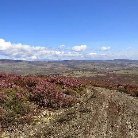 Venkovský dům La Casa De Rosa *